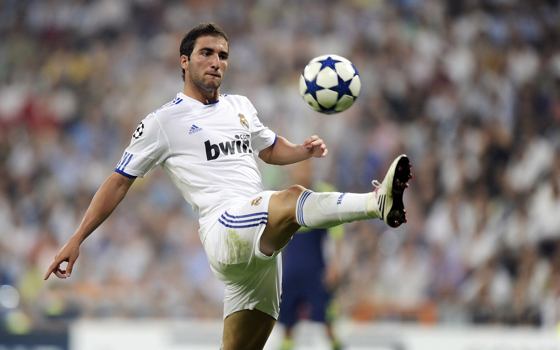 _全场欢呼：运动员激烈拼搏赢得满堂彩_，运动员在赛场上奋力拼搏终于夺得桂冠