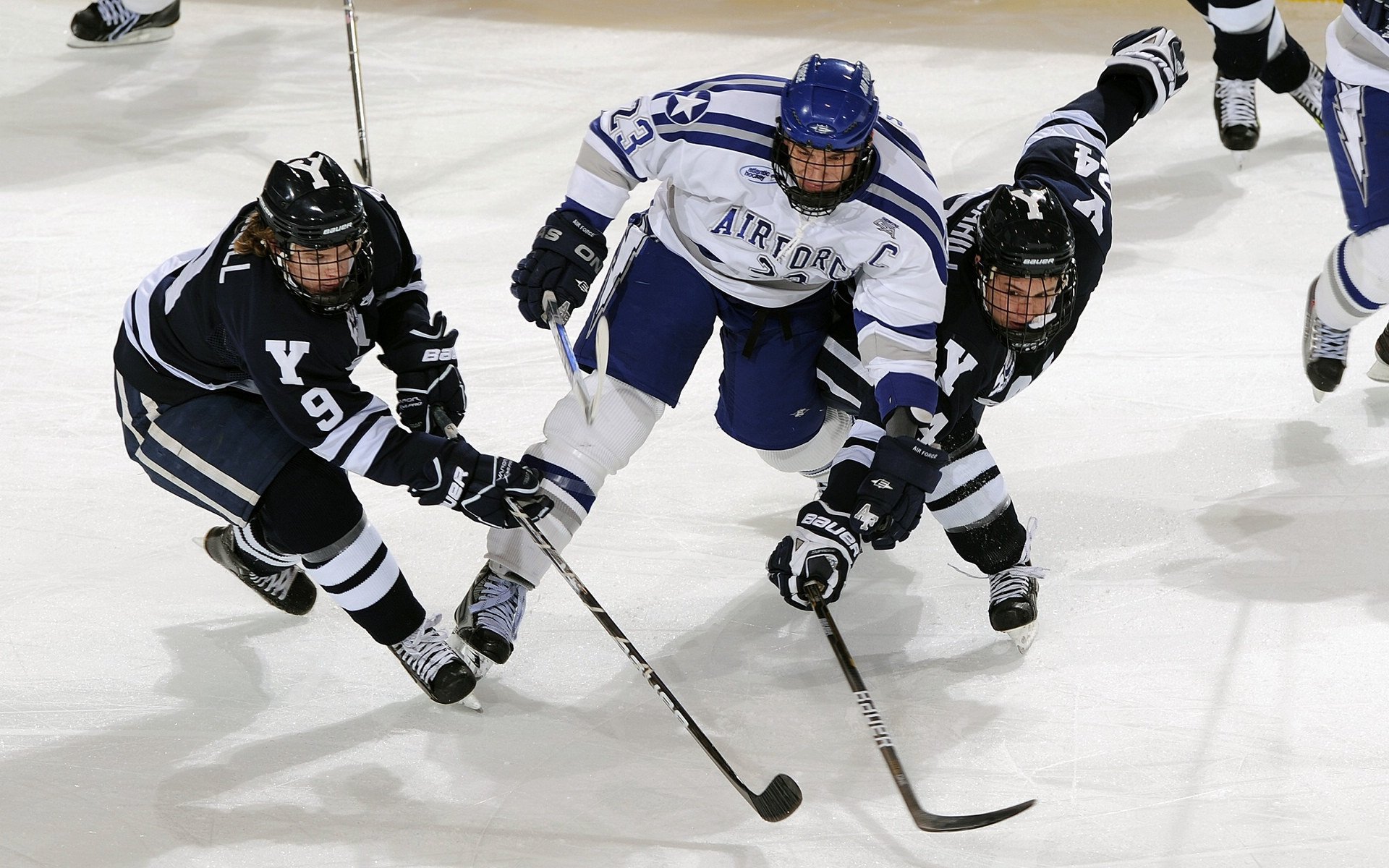 开云-公牛球员参与“全国青少年篮球导师计划”，公牛篮球队